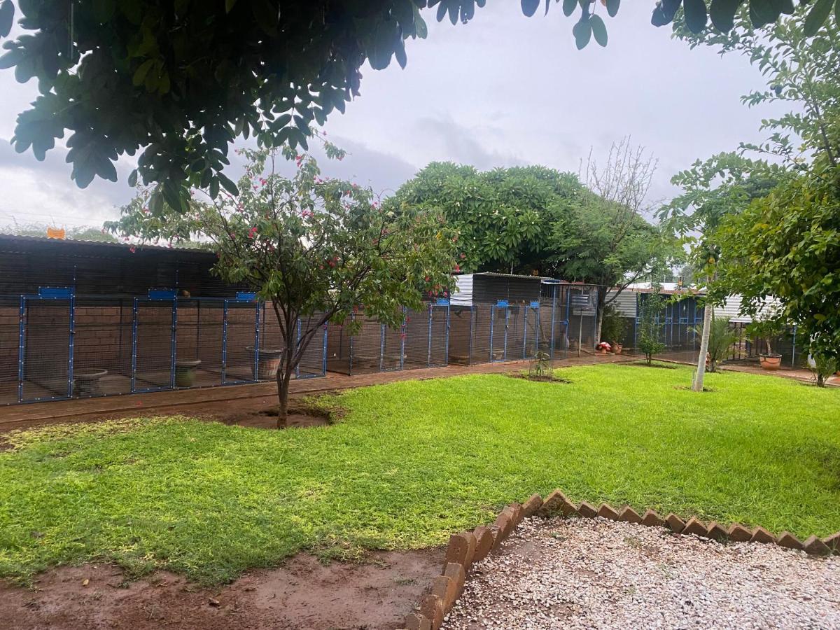 El-Kole Bed And Breakfast Tsumeb Ngoại thất bức ảnh